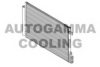 AUTOGAMMA 107152 Condenser, air conditioning